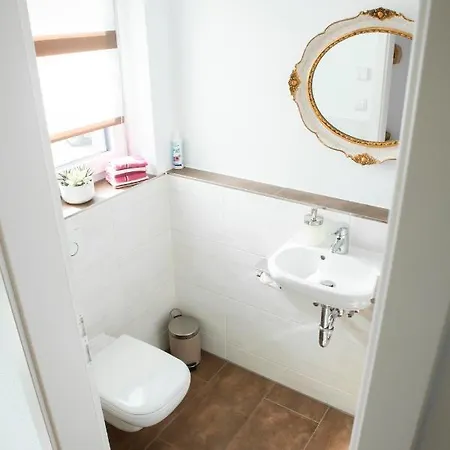 Holiday home Preisendanz Ringsheim