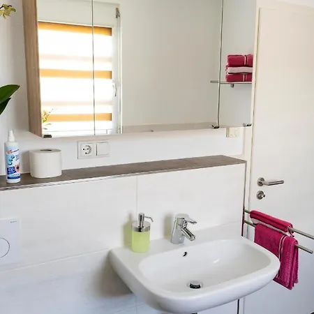 Hébergement de vacances Preisendanz Ringsheim