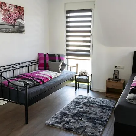 Preisendanz Holiday home Ringsheim