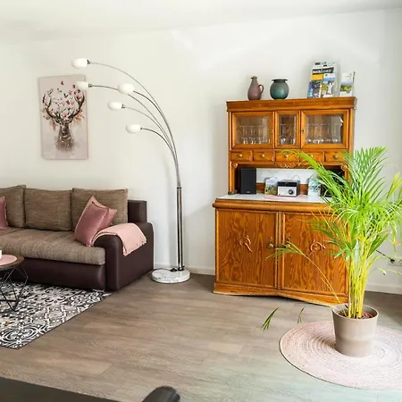 Preisendanz Ringsheim